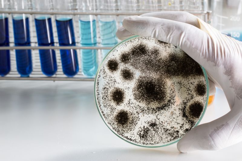 Plano, TX