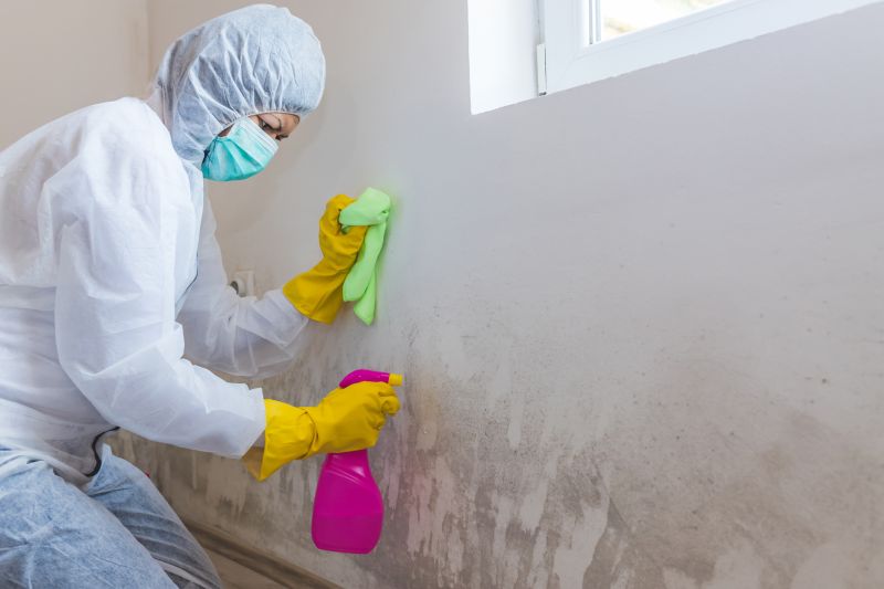 Air Duct Mold Removal in Fort Worth, TX