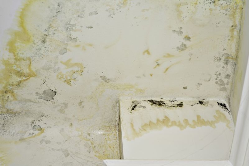 Air Duct Mold Removal in Boca Raton, FL