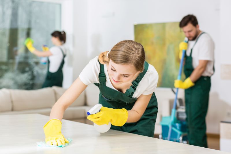 Apartment Cleaning Service in Bellevue, WA