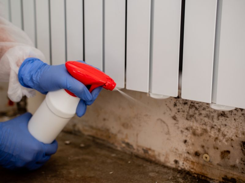 Basement Mold Remediation in Bergen County, NJ