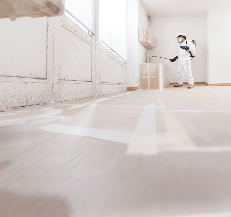 Black Mold Remediation in Fort Worth, TX