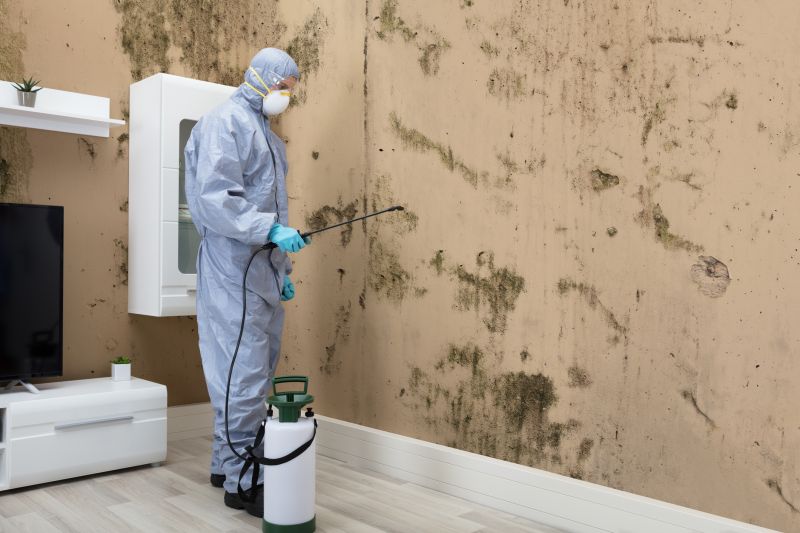 Black Mold Removal in Dallas, TX