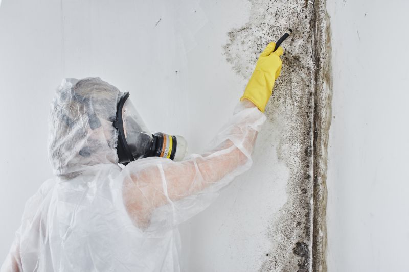 Mold Abatement in Fort Lauderdale, FL
