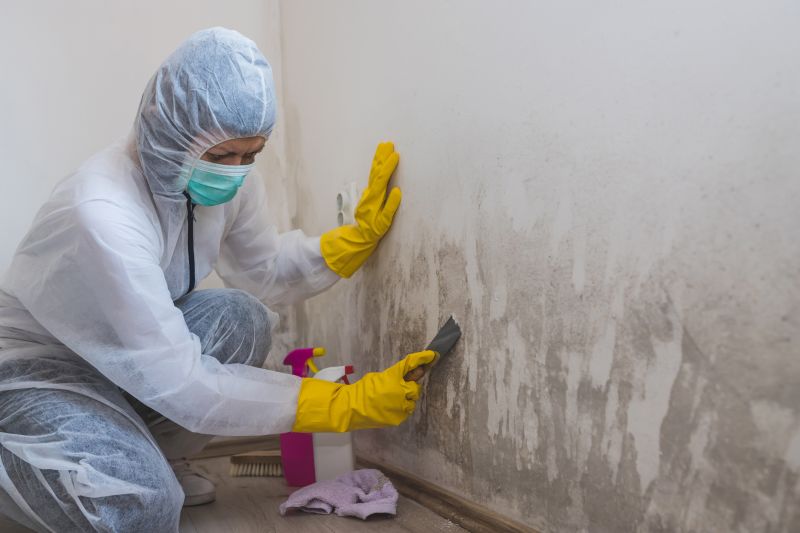 Mold Cleanup Service in Boca Raton, FL