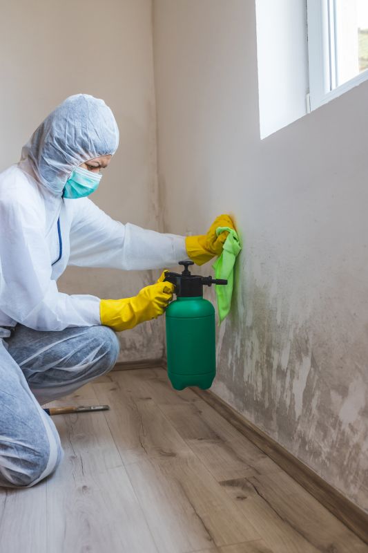 Mold Mitigation Service in Fort Lauderdale, FL