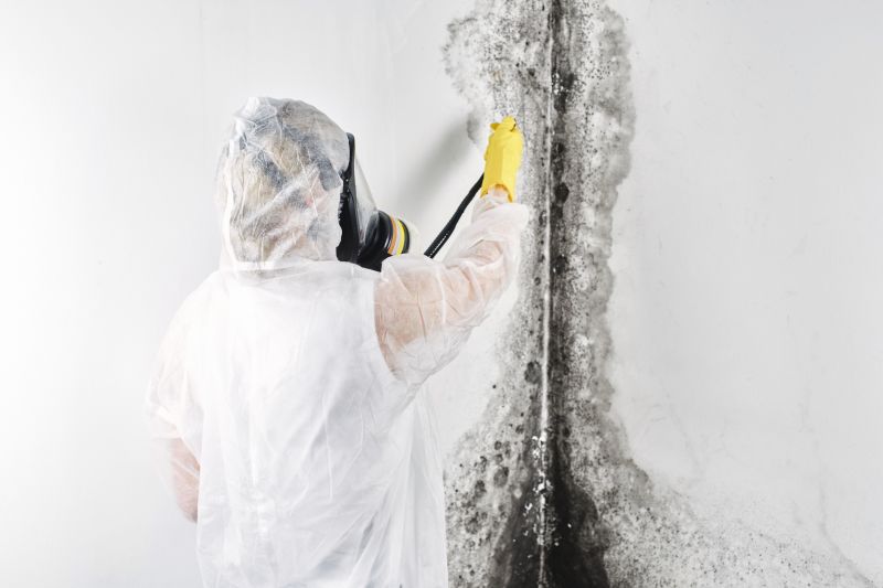 Mold Mitigation Service in Bergen County, NJ