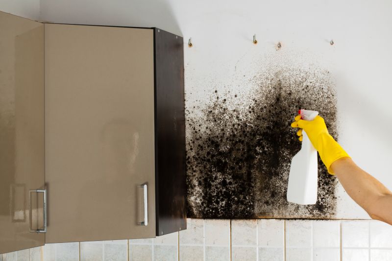 Mold Removal in Broward County, FL