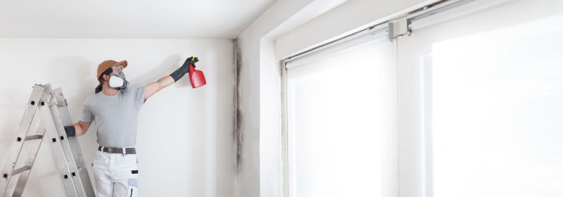 Mold Restoration in West Palm Beach, FL