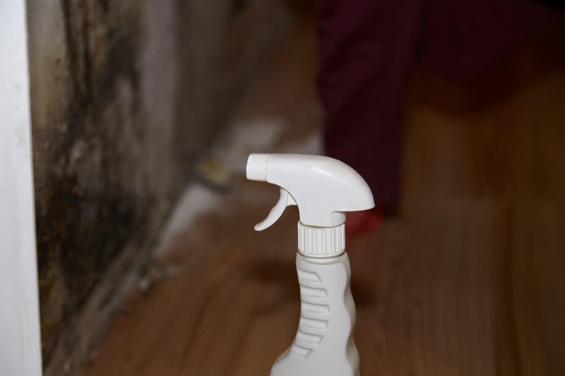 Mold Restoration in Fort Worth, TX
