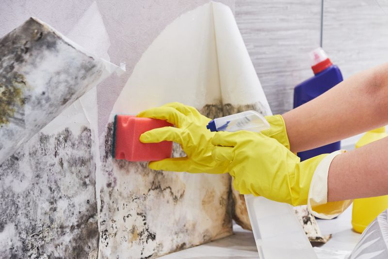 Mold Treatment Service in Boca Raton, FL