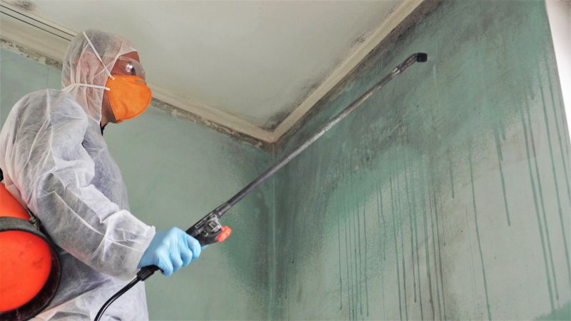 White Mold Mitigation in Bergen County, NJ