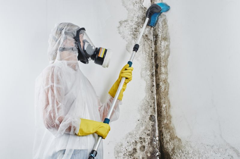 White Mold Mitigation in Fort Worth, TX