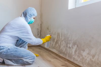 Attic Mold Removal in Frisco, TX