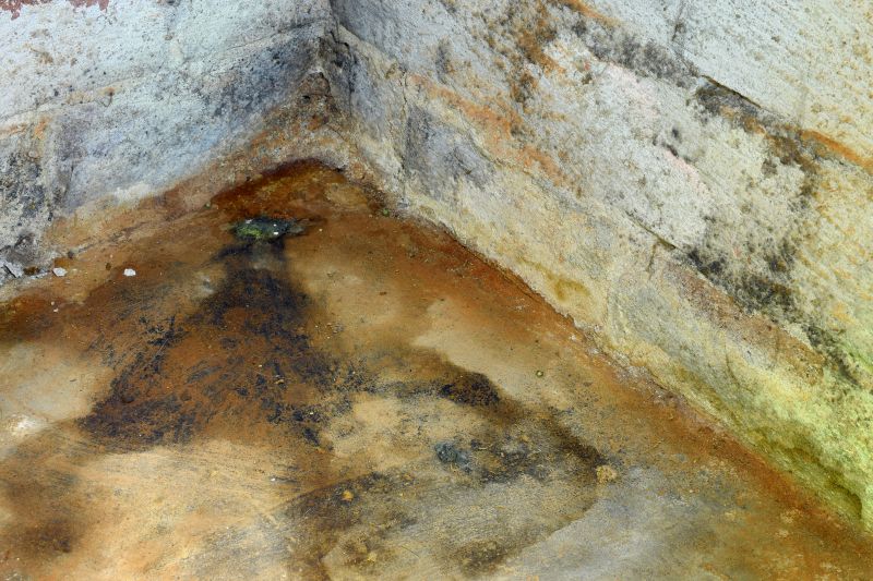 Basement Mold Removal in Fort Lauderdale, FL